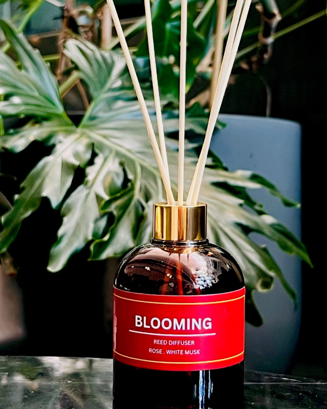 Holiday Home Fragrance Gift Set:  3 in 1