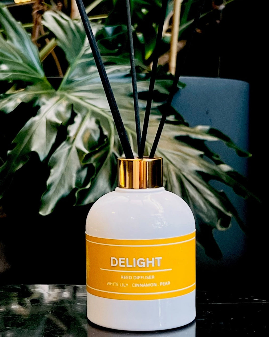 Holiday Home Fragrance Gift Set:  3 in 1